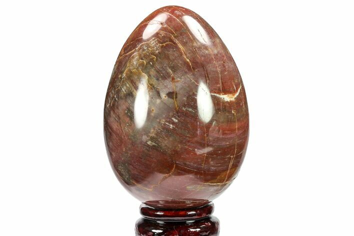 Colorful, Polished Petrified Wood Egg - Triassic #133927